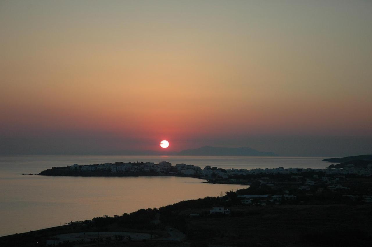 Tinos View Apartments Eksteriør billede